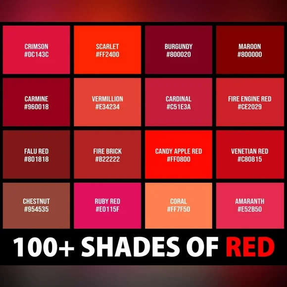 St. John Collection bow jacket O/S - Picture 12 of 12